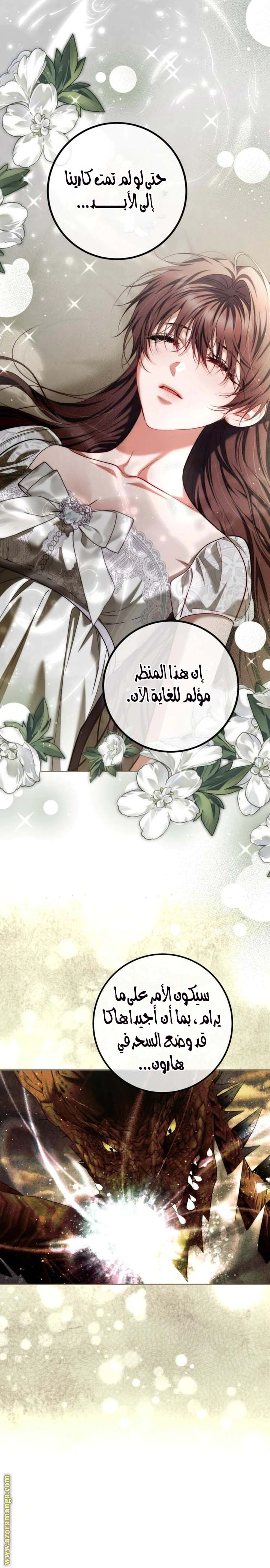 Read The Time of the Terminally Ill Extra AR Manga Online