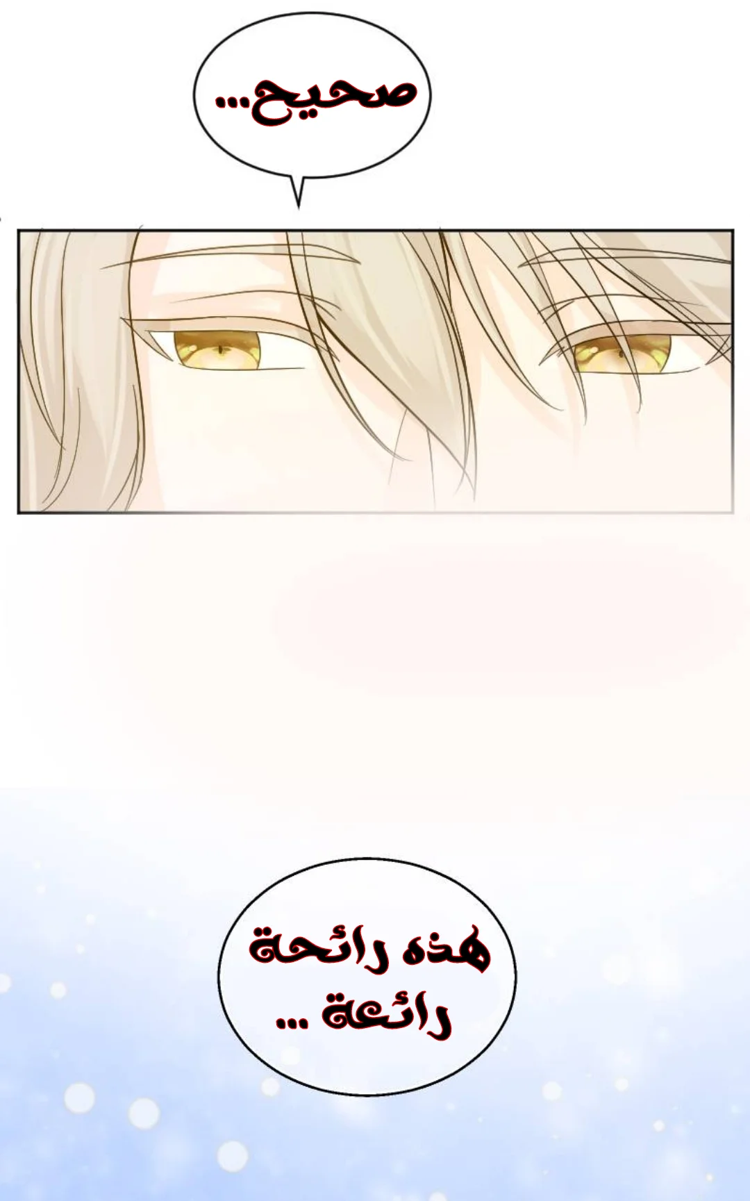 Read The Vampire Lord’s Greatest Wife AR Manga Online