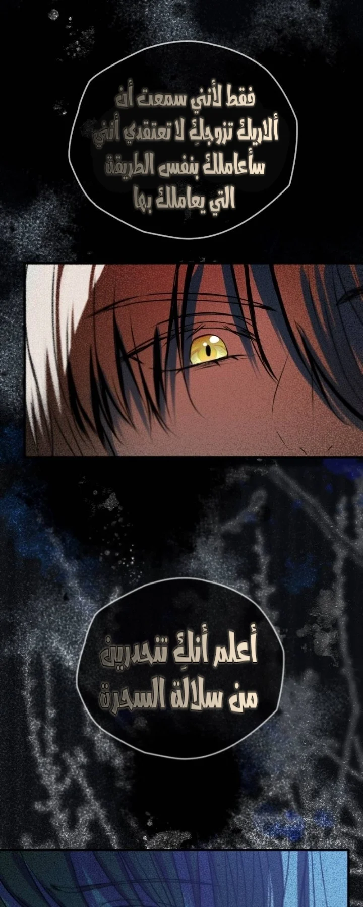 Read The Vampire Lord’s Greatest Wife AR Manga Online