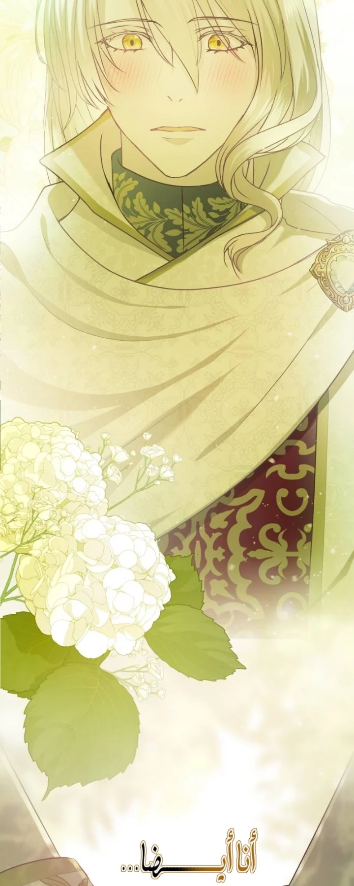 Read The Vampire Lord’s Greatest Wife AR Manga Online