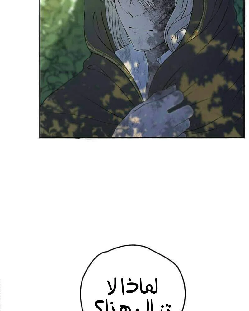 Read The Vampire Lord’s Greatest Wife AR Manga Online