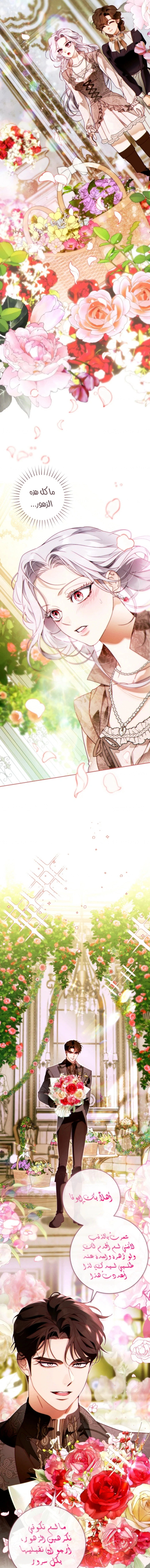 Read This Marriage Must Succeed AR Manga Online