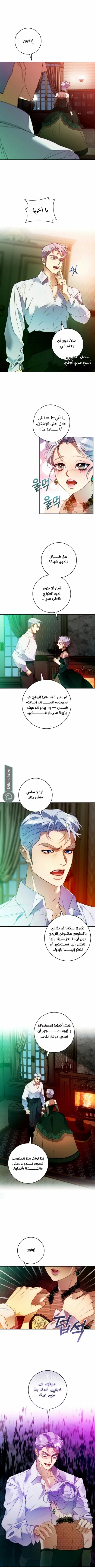 Read This Marriage Will Surely Succeed AR Manga Online