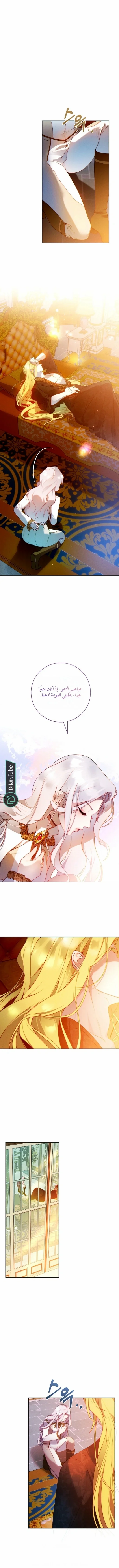 Read This Marriage Will Surely Succeed AR Manga Online