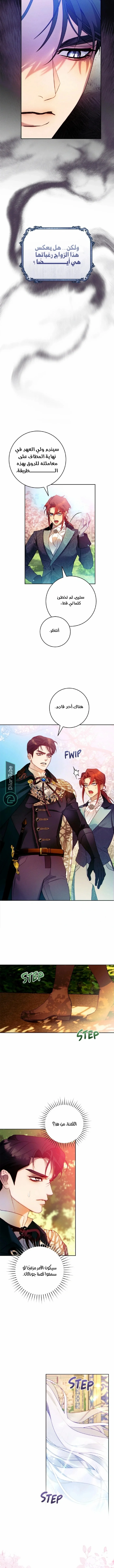 Read This Marriage Will Surely Succeed AR Manga Online