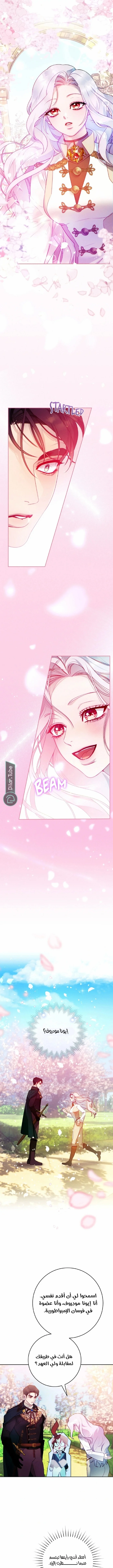 Read This Marriage Will Surely Succeed AR Manga Online