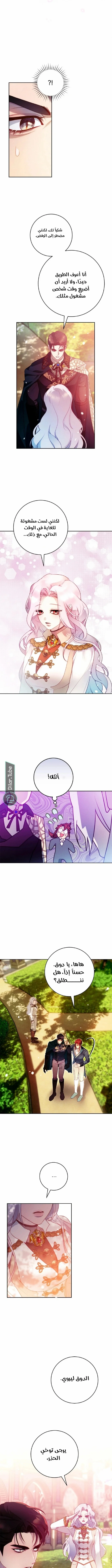 Read This Marriage Will Surely Succeed AR Manga Online