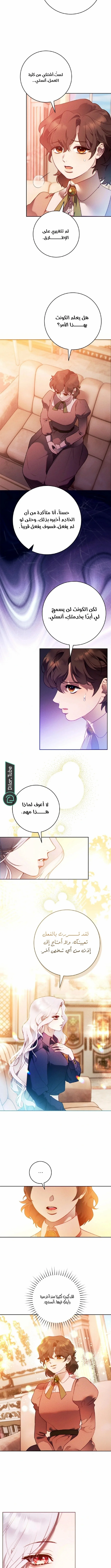 Read This Marriage Will Surely Succeed AR Manga Online