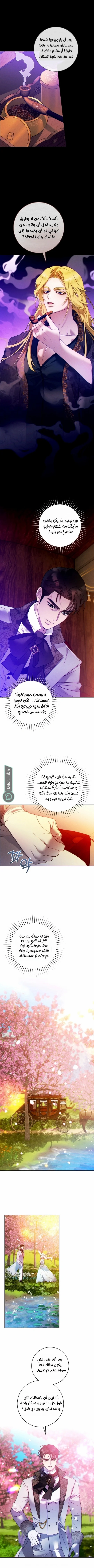 Read This Marriage Will Surely Succeed AR Manga Online