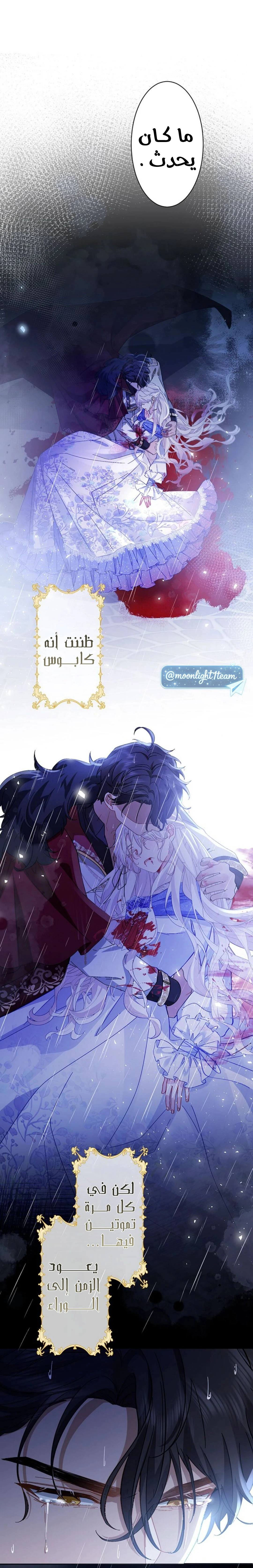 Read This Time, I Will Avoid This Marriage – A Method to Part Ways With You, Who Lacks Love AR Manga Online