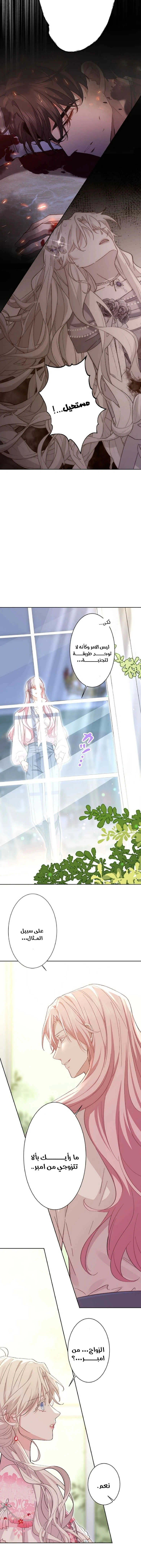 Read This Time, I Will Avoid This Marriage – A Method to Part Ways With You, Who Lacks Love AR Manga Online