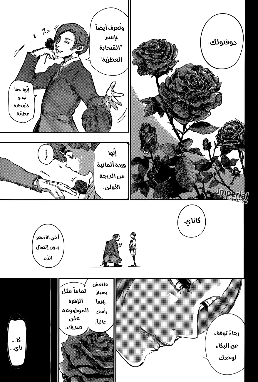 Read Tokyo Ghoul:re AR Manga Online