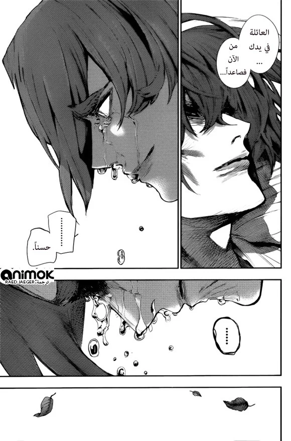 Read Tokyo Ghoul:re AR Manga Online