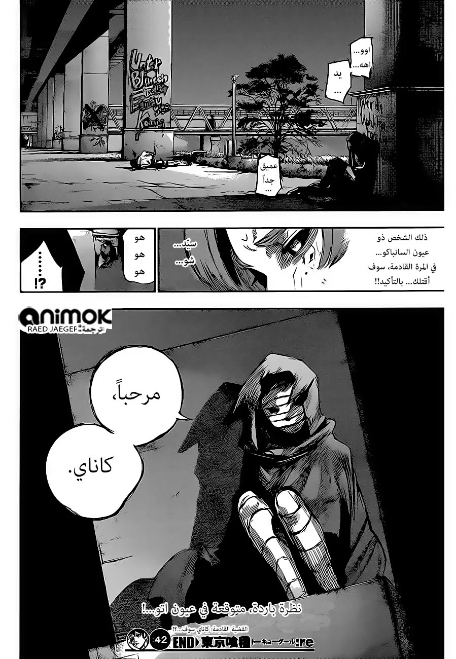 Read Tokyo Ghoul:re AR Manga Online