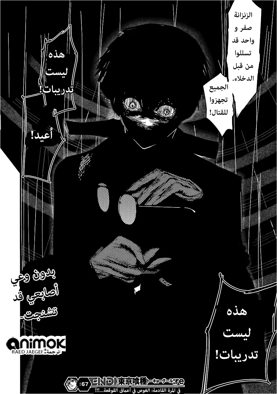 Read Tokyo Ghoul:re AR Manga Online