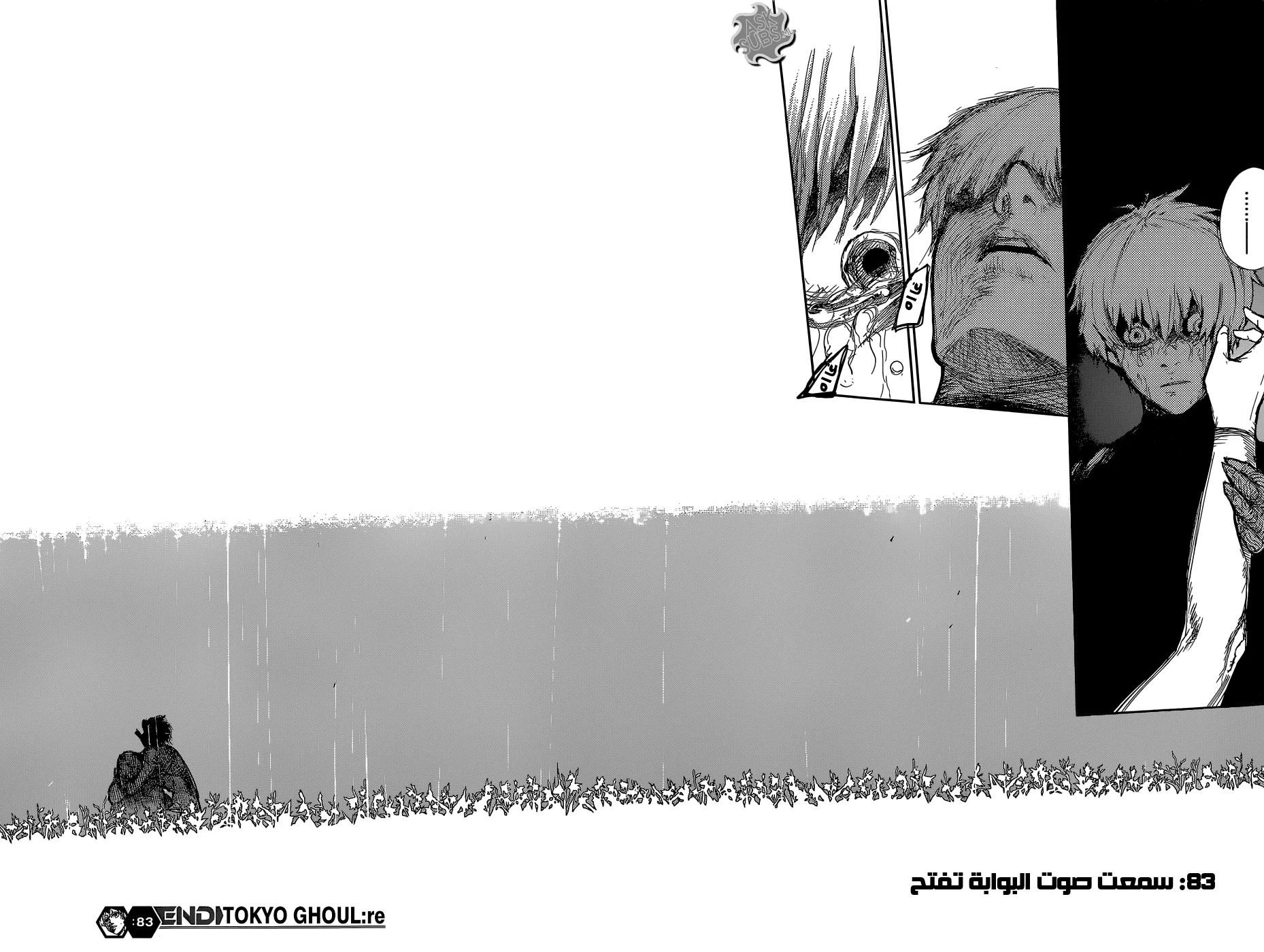 Read Tokyo Ghoul:re AR Manga Online