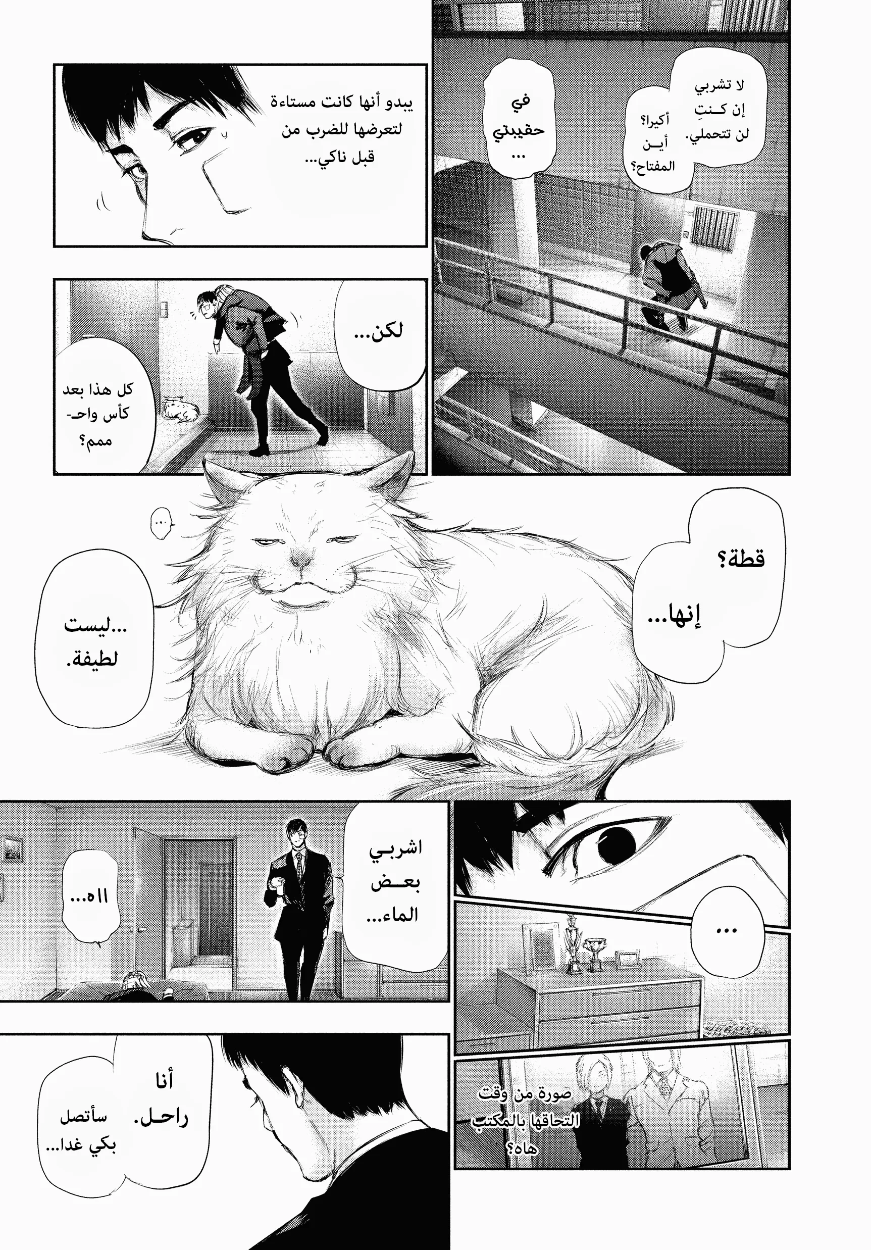 Read Tokyo ghoul AR Manga Online