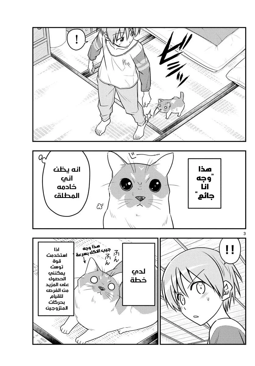 Read Tonikaku Kawaii AR Manga Online