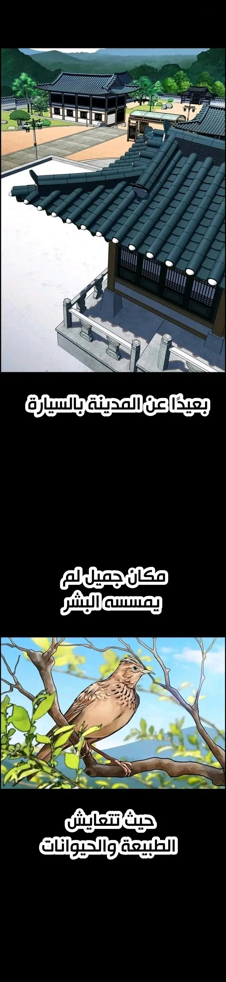 Read True Education AR Manga Online