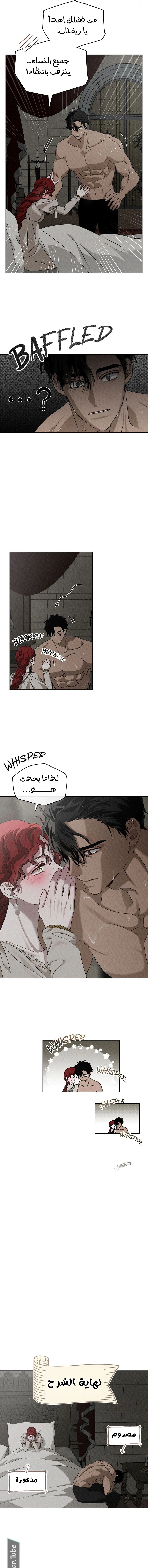 Read Under the oak tree AR Manga Online