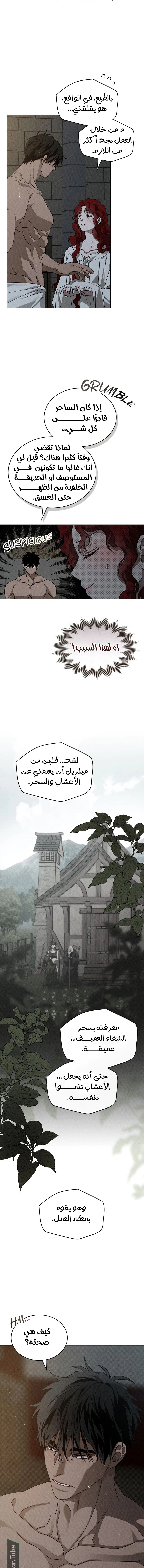 Read Under the oak tree AR Manga Online