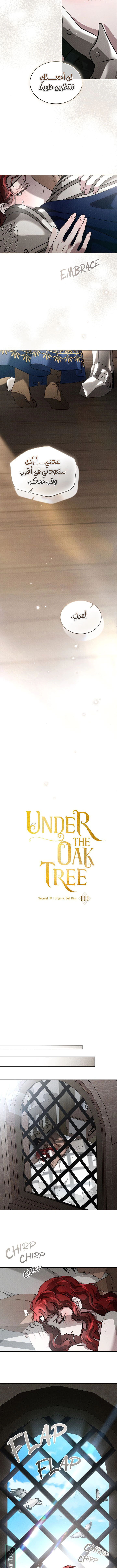 Read Under the oak tree AR Manga Online