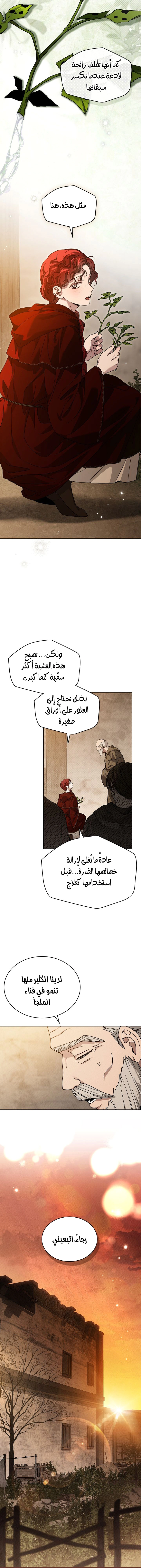 Read Under the oak tree AR Manga Online