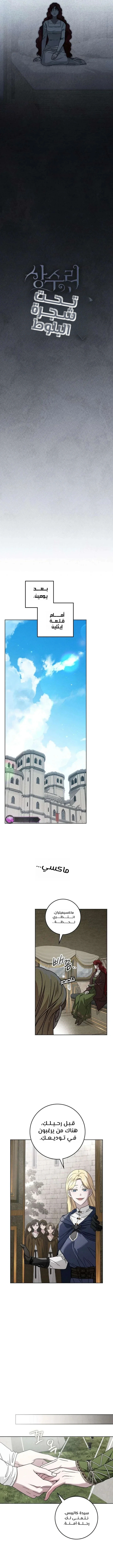 Read Under the oak tree AR Manga Online