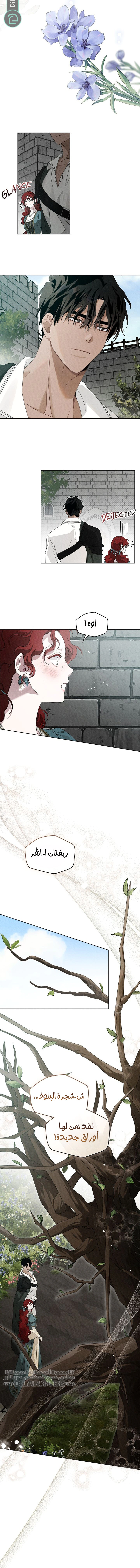 Read Under the oak tree AR Manga Online