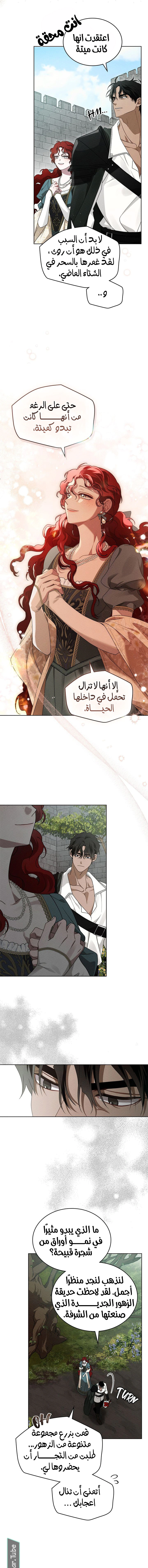 Read Under the oak tree AR Manga Online