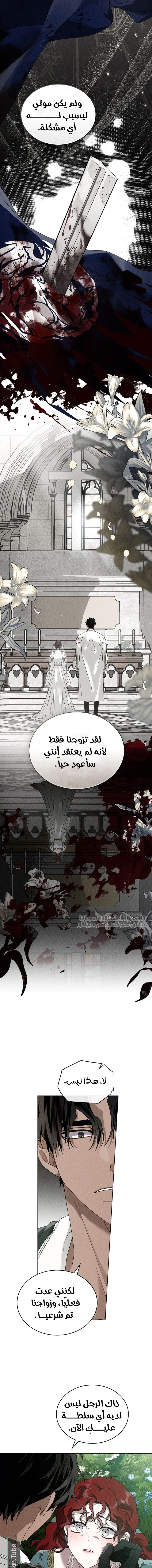 Read Under the oak tree AR Manga Online