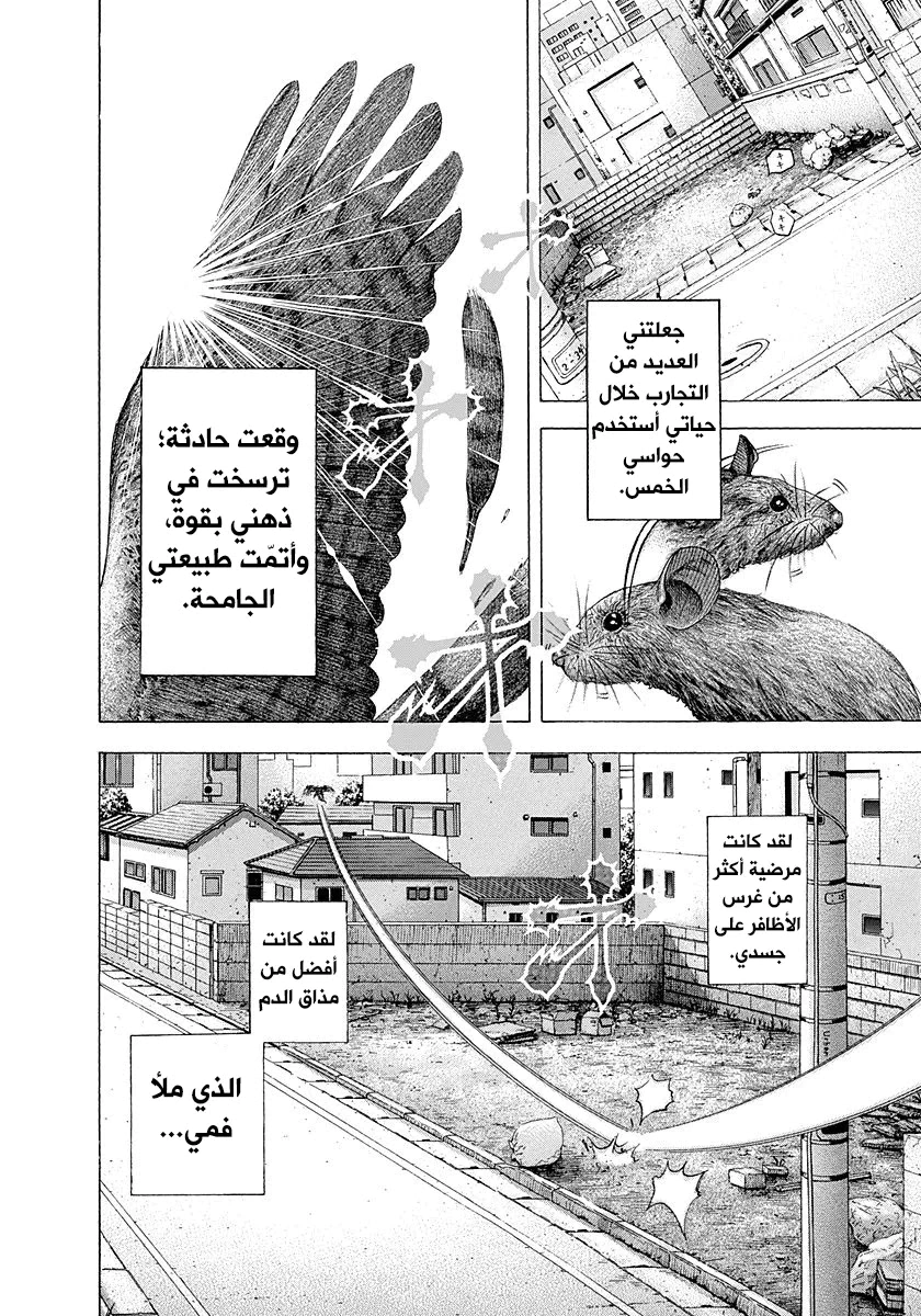 Read Usogui AR Manga Online