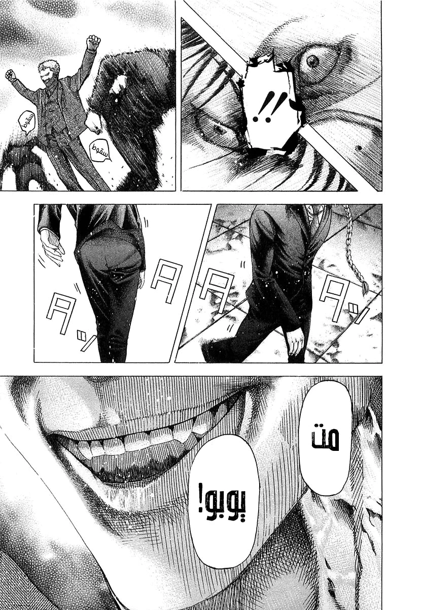 Read Usogui AR Manga Online