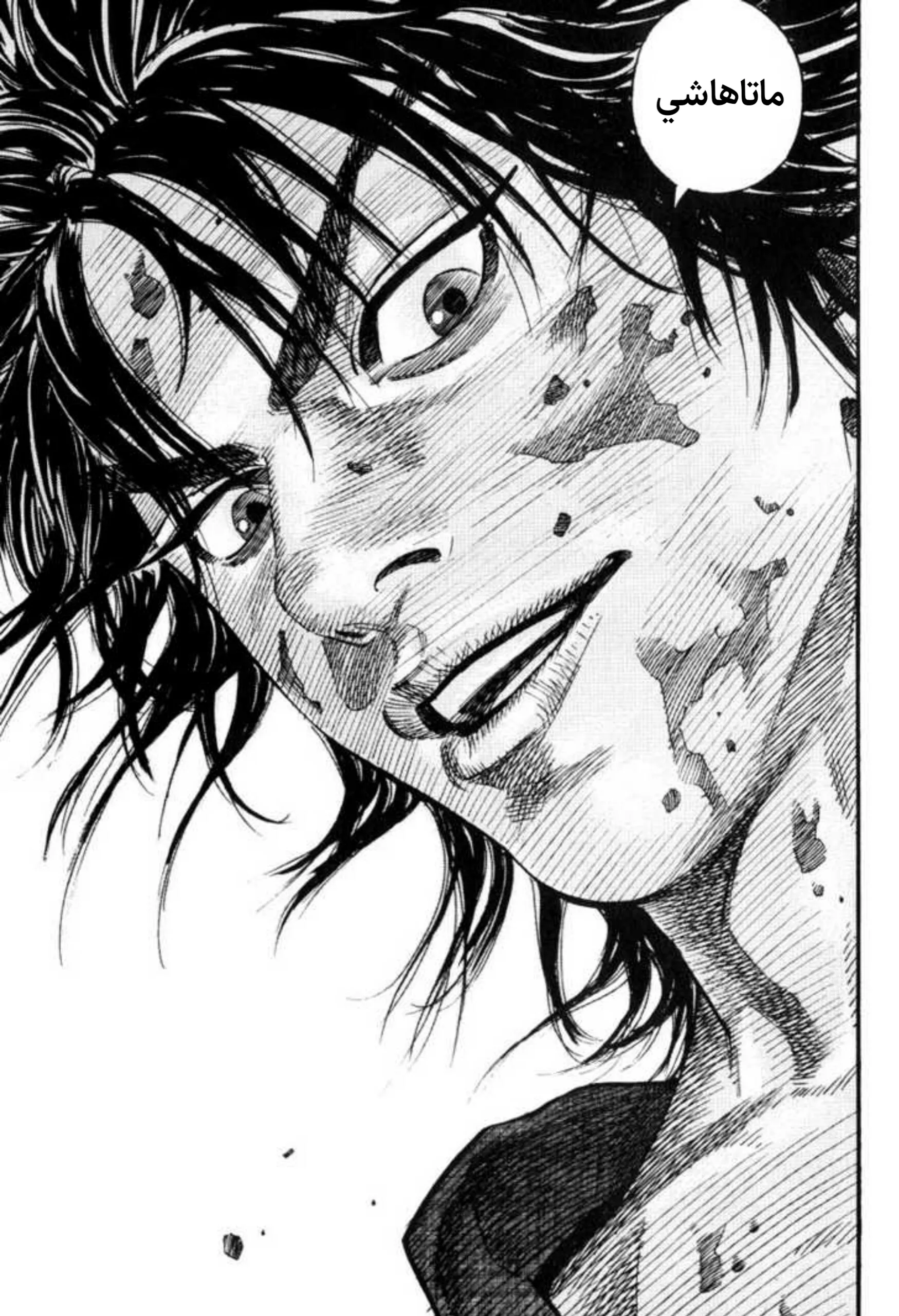 Read Vagabond AR Manga Online