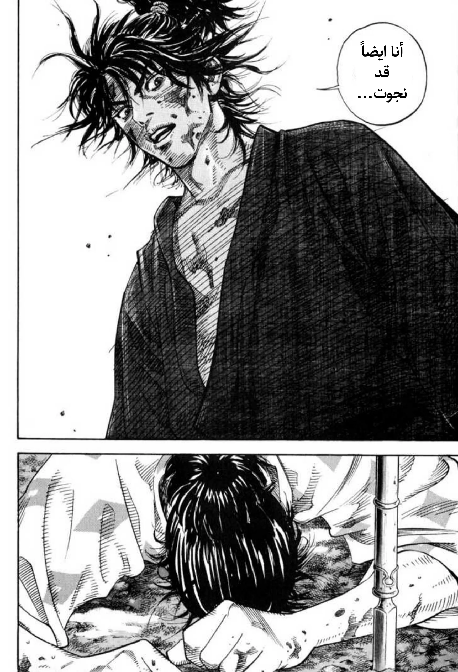 Read Vagabond AR Manga Online