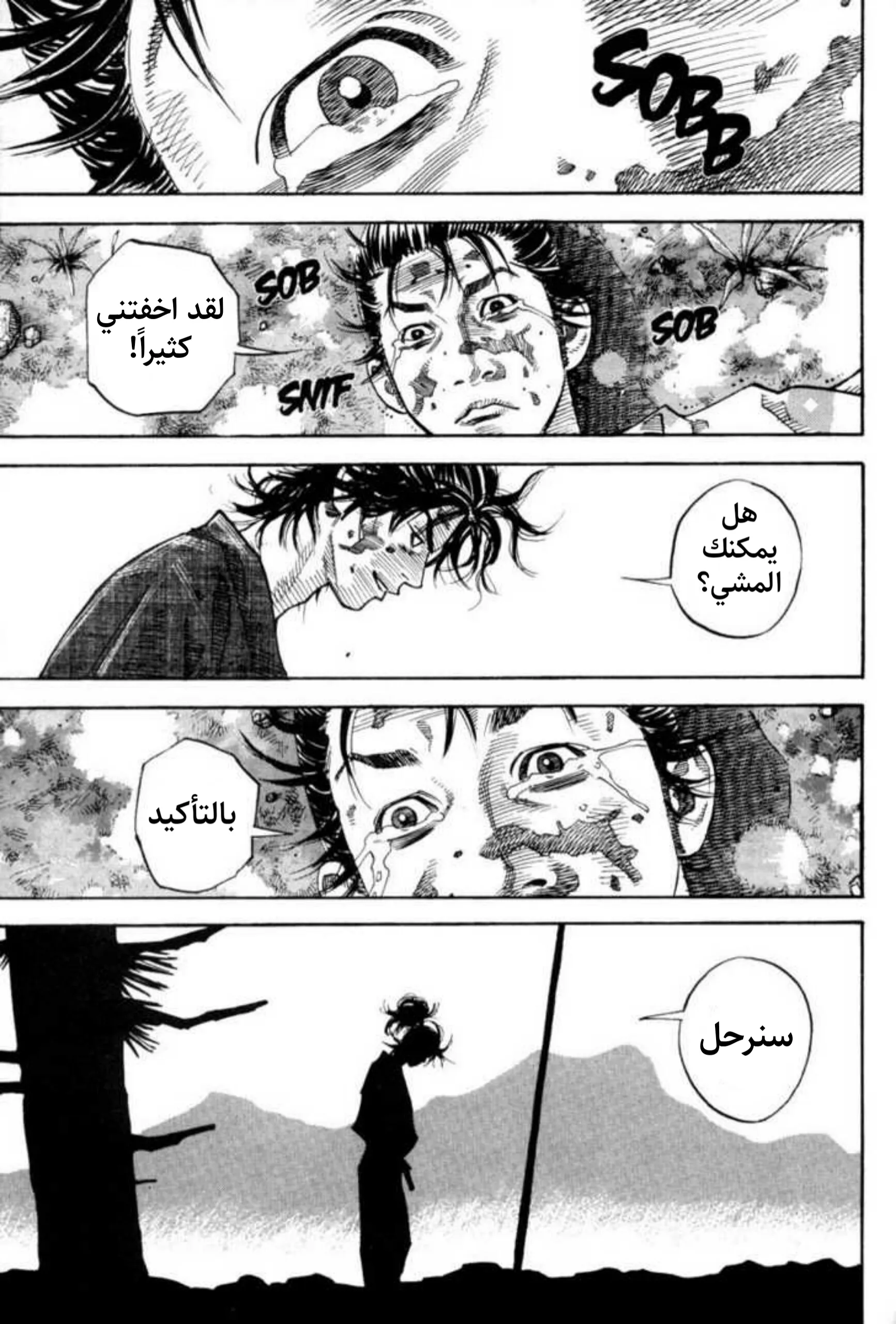 Read Vagabond AR Manga Online