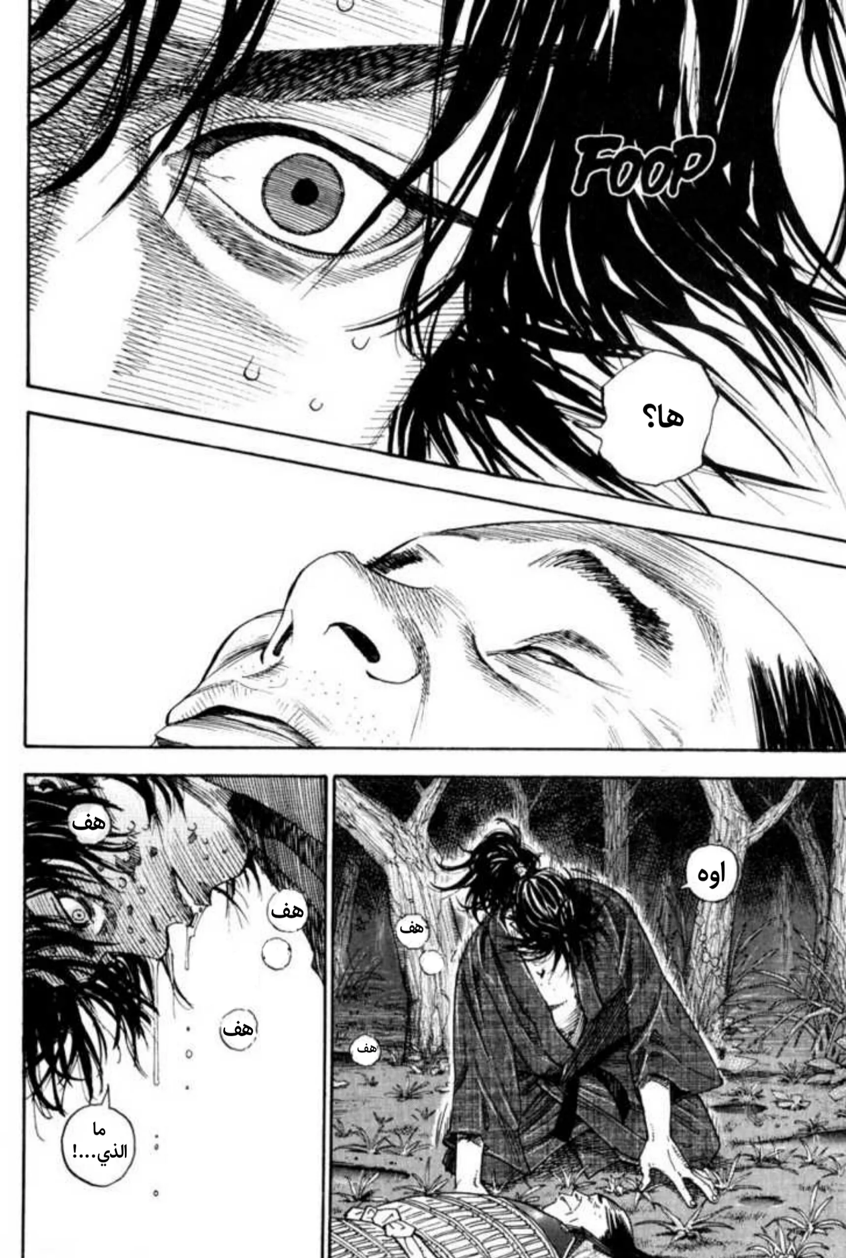 Read Vagabond AR Manga Online