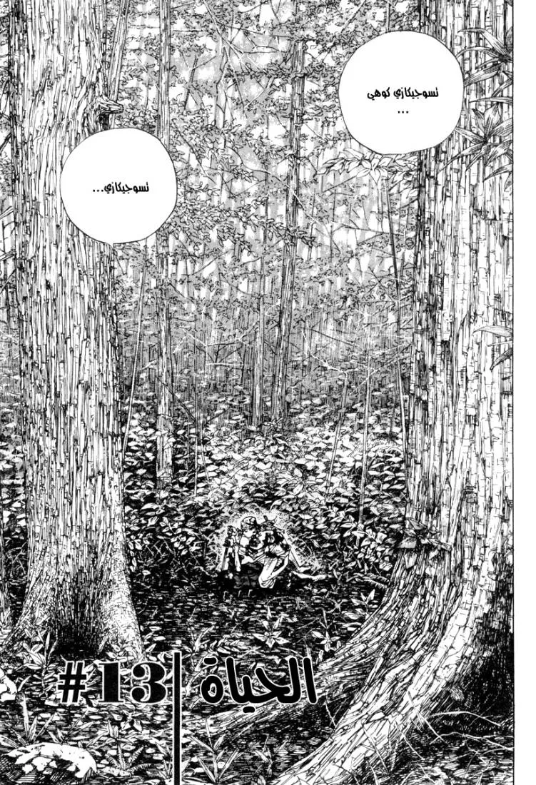 Read Vagabond AR Manga Online