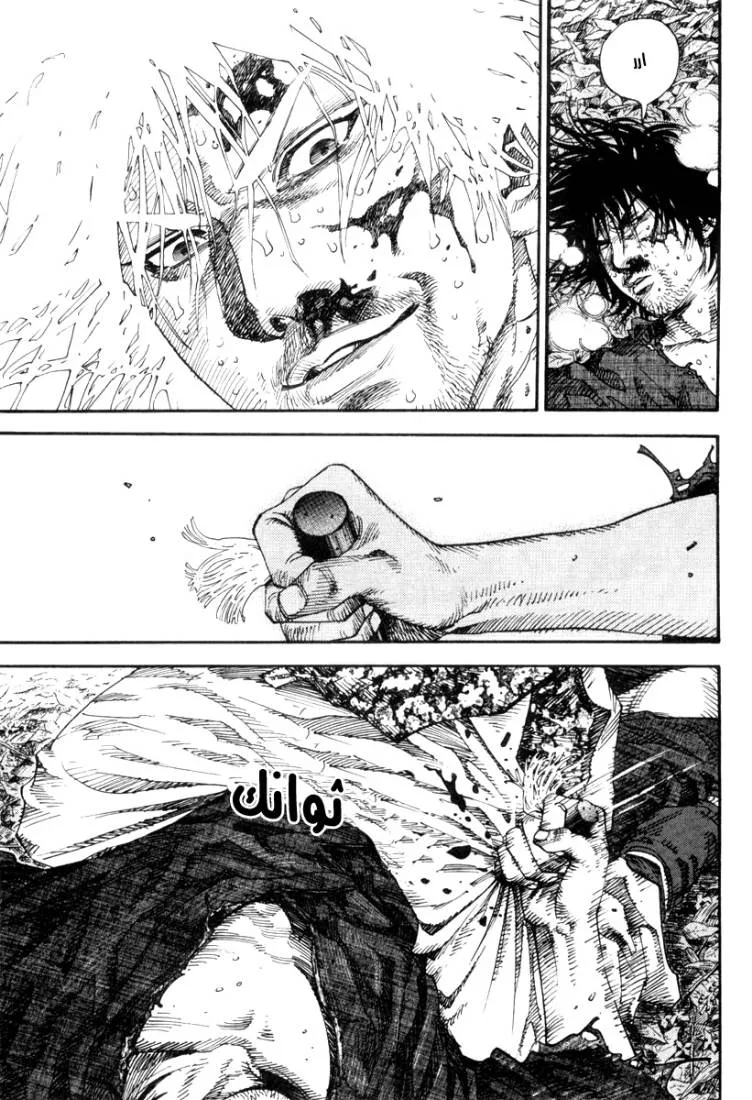 Read Vagabond AR Manga Online