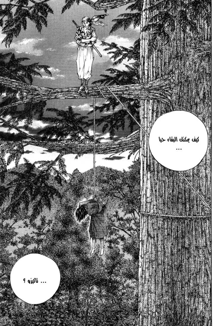Read Vagabond AR Manga Online