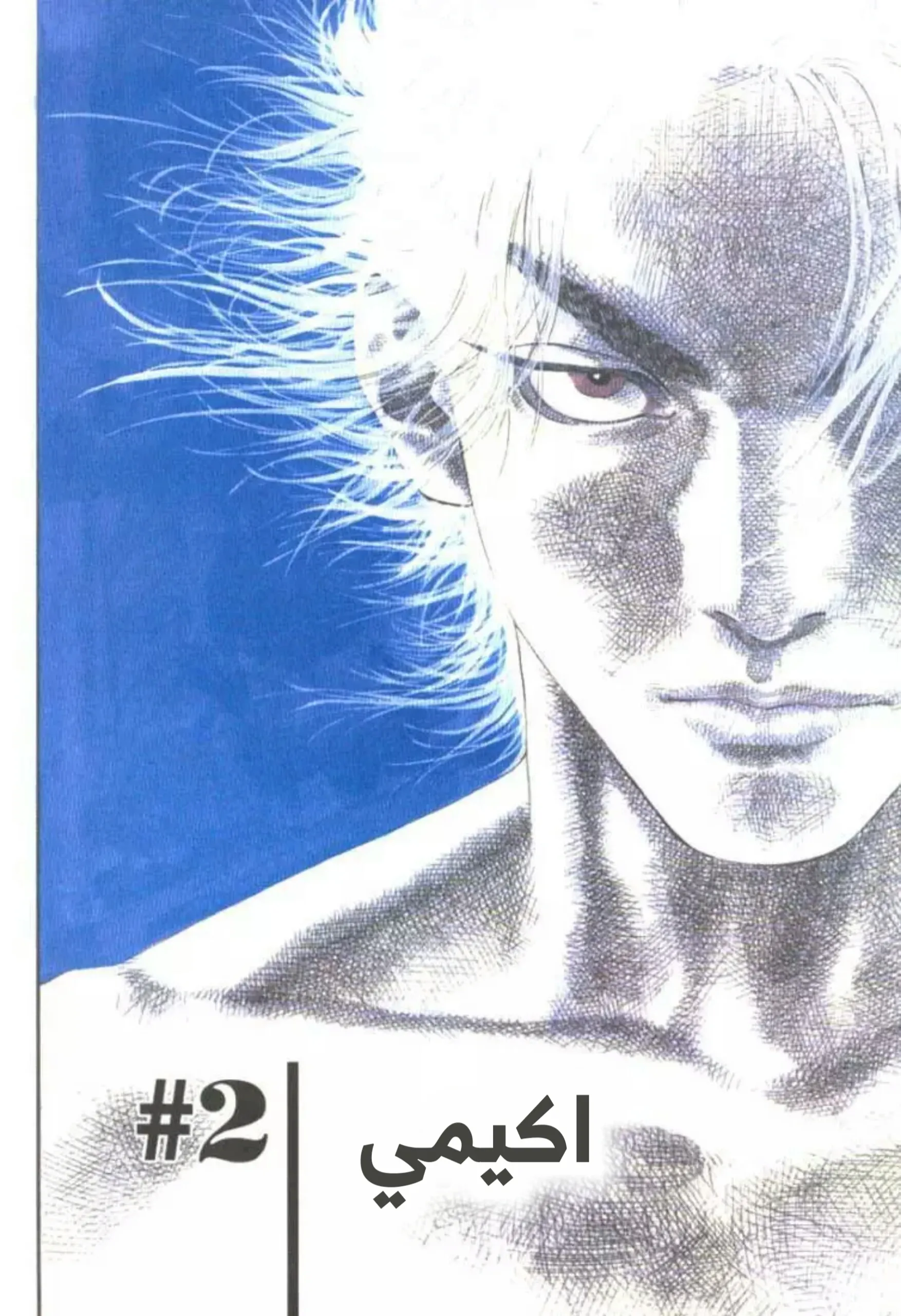 Read Vagabond AR Manga Online