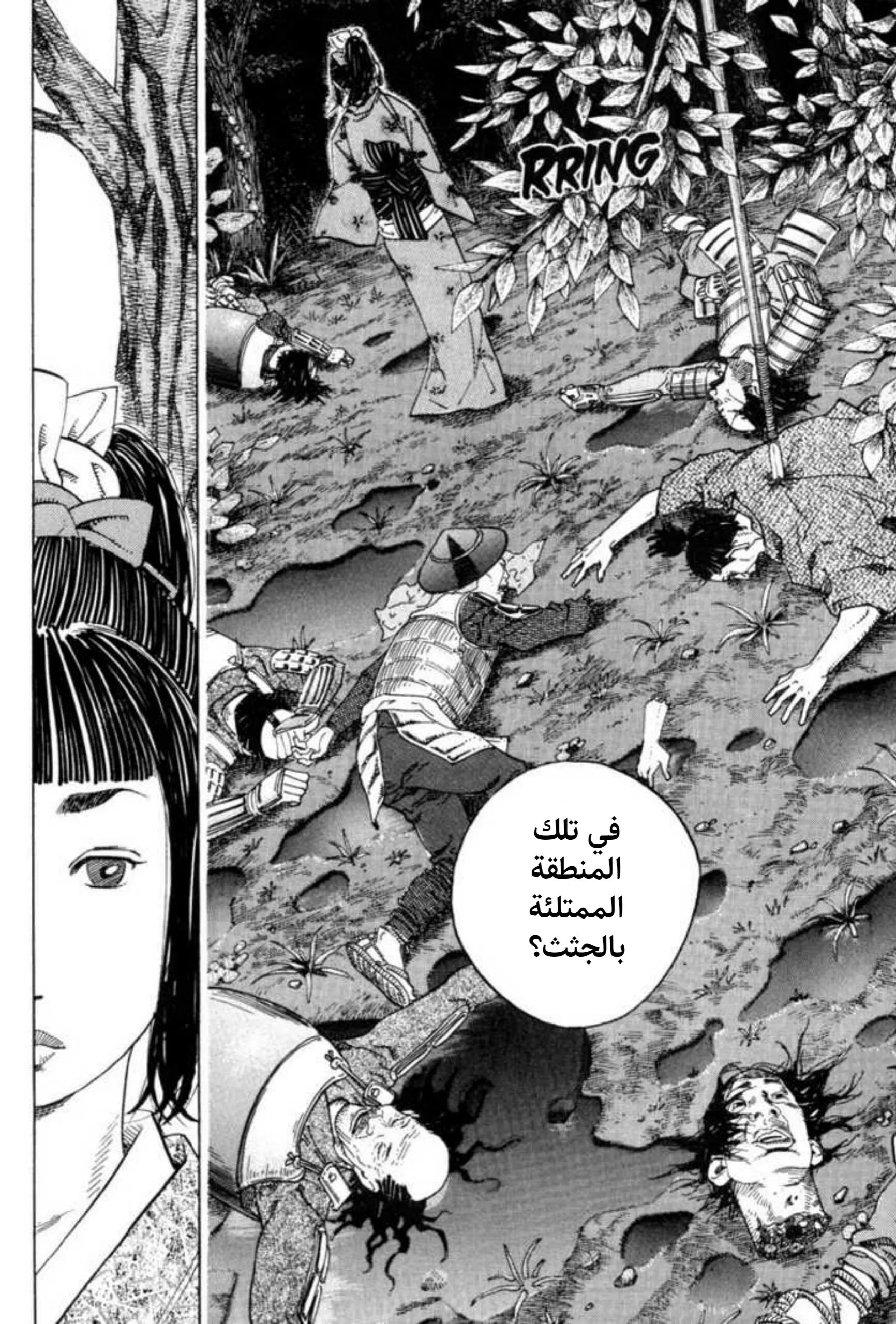 Read Vagabond AR Manga Online