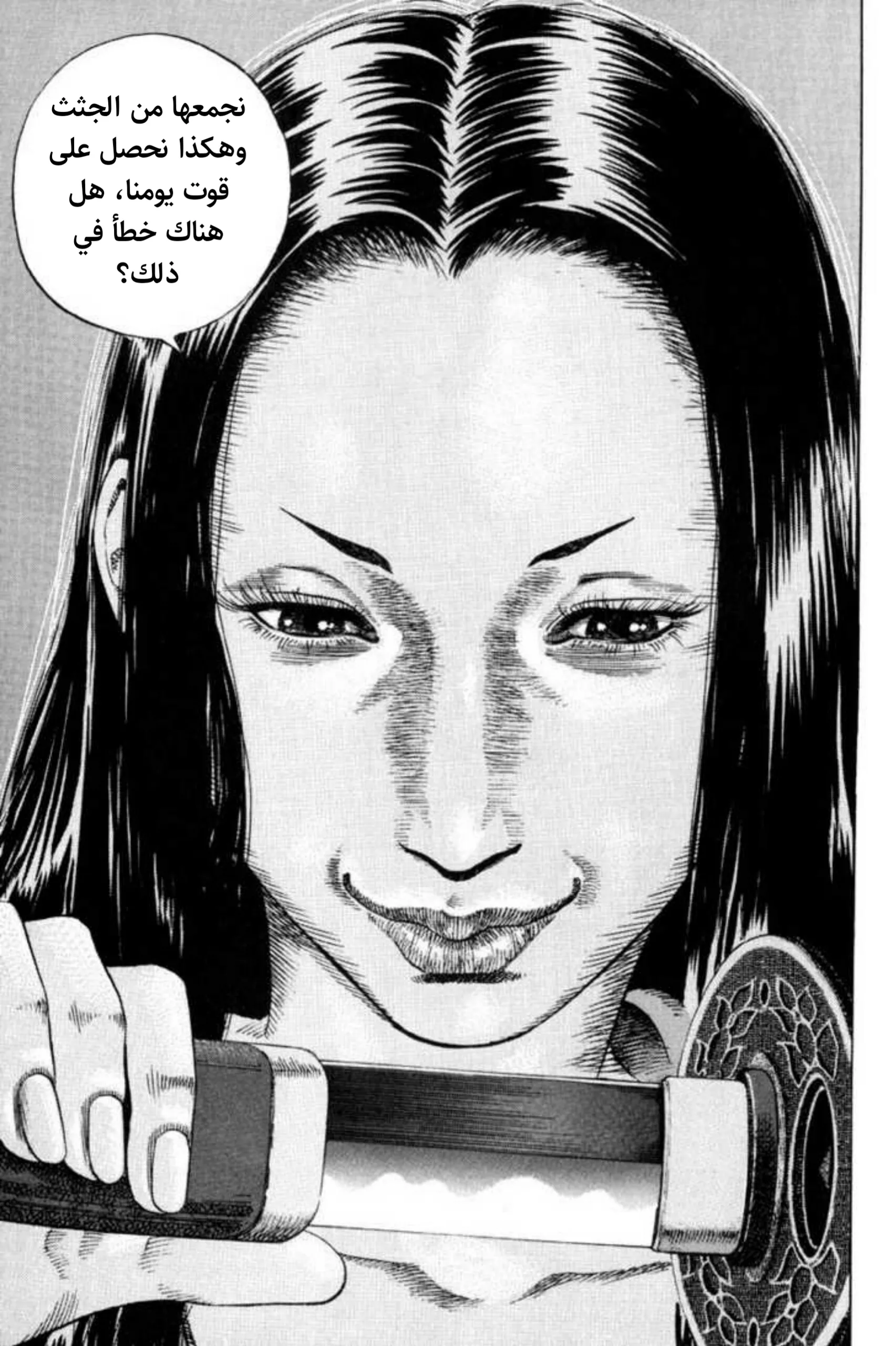 Read Vagabond AR Manga Online