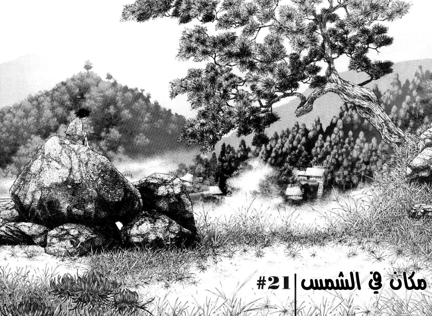 Read Vagabond AR Manga Online