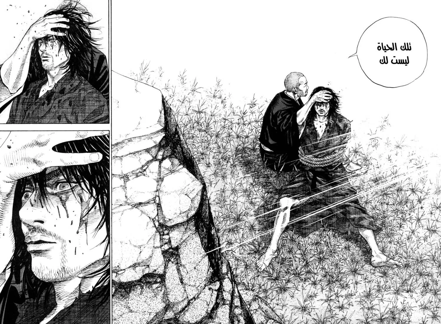 Read Vagabond AR Manga Online