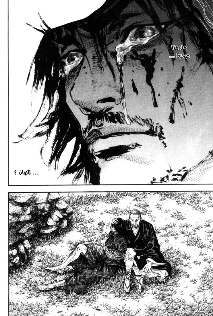 Read Vagabond AR Manga Online
