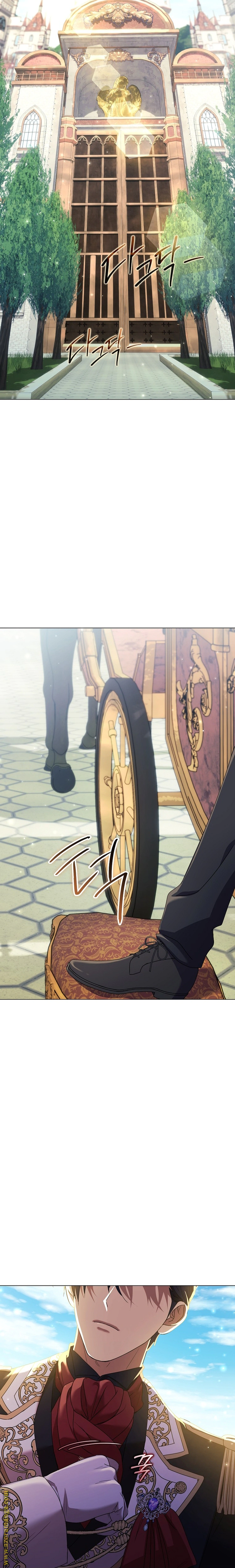 Read What Kind Of Divorce Is This When We’re Not Even Married, Your Majesty_ AR Manga Online