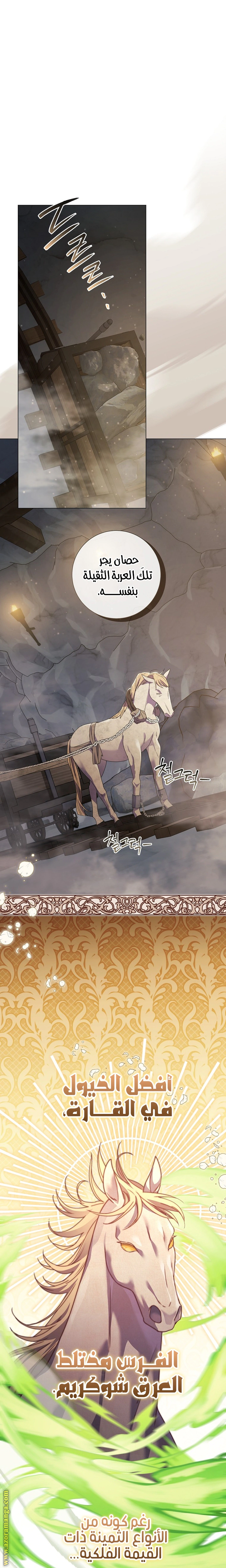 Read What Kind Of Divorce Is This When We’re Not Even Married, Your Majesty_ AR Manga Online