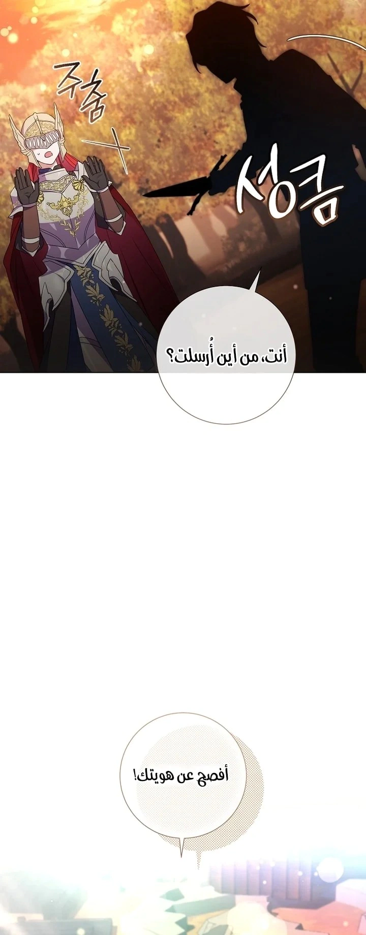 Read What Kind Of Divorce Is This When We’re Not Even Married, Your Majesty_ AR Manga Online