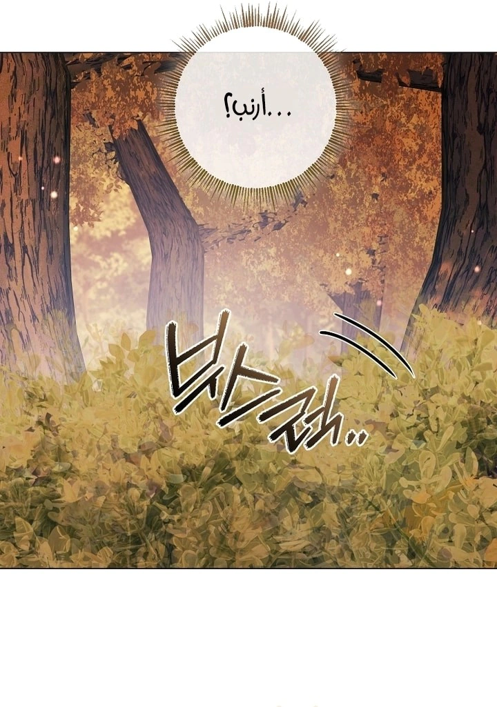 Read What Kind Of Divorce Is This When We’re Not Even Married, Your Majesty_ AR Manga Online